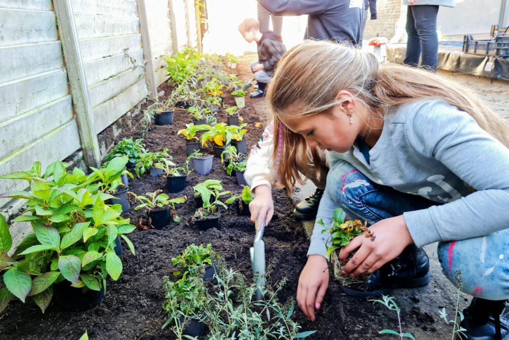 geveltuin aanleggen