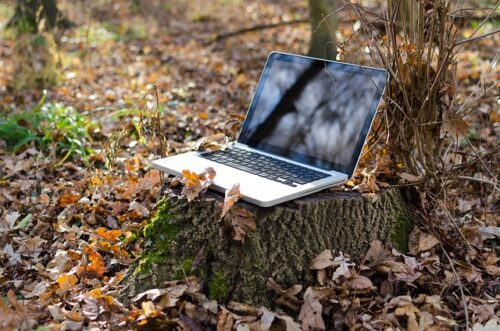 laptop in het bos