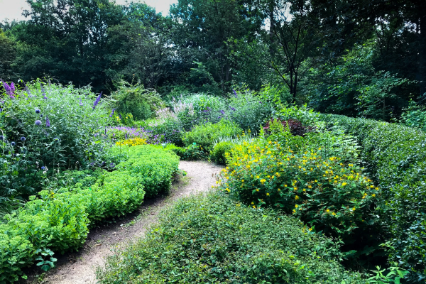 Vlindertuin Leusden