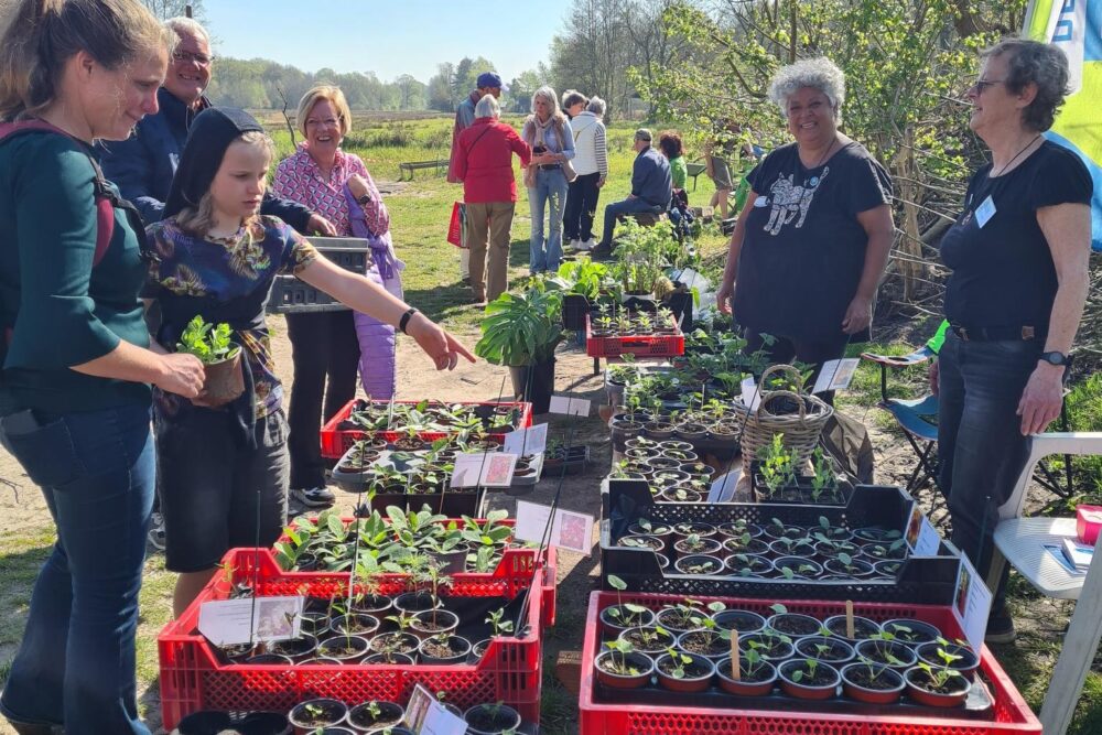 Plantjesmarkt 2025 in de Struintuin