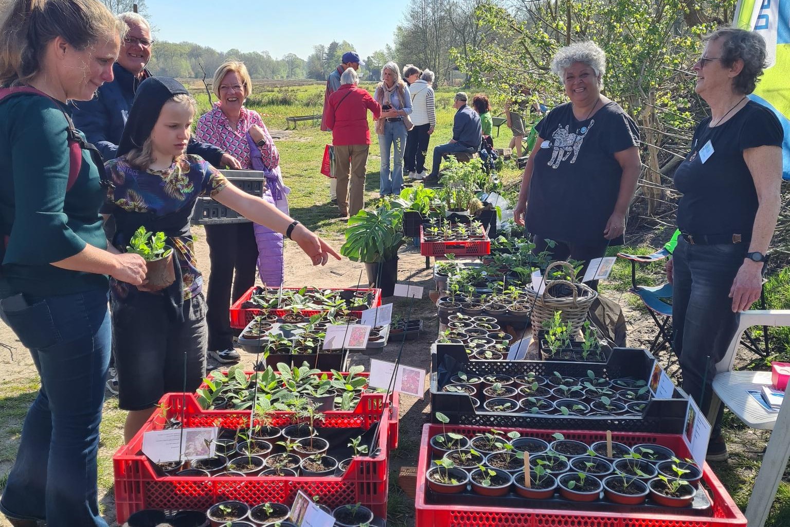 Plantjesmarkt 2025 in de Struintuin
