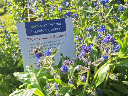 tuinbordje Groen Leusden tussen bloeiende planten