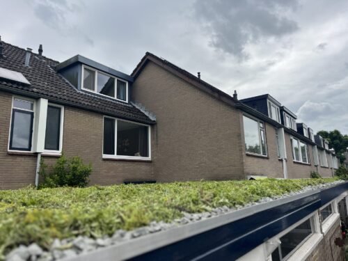 groene daken aangelegd tijdens de groendak actie in Groenhouten groene daken aangelegd tijdens de groendak actie in Groenhouten
